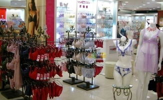 服裝加盟特許經(jīng)營模式 在零售領(lǐng)域的全面解讀與操作指南